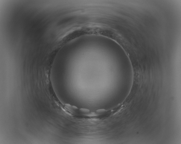 X0000083551013200702091053
