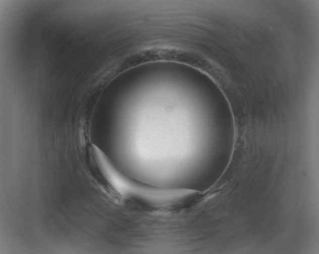 X0000083551014200702091053