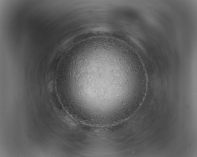 X0000083551015200702091053