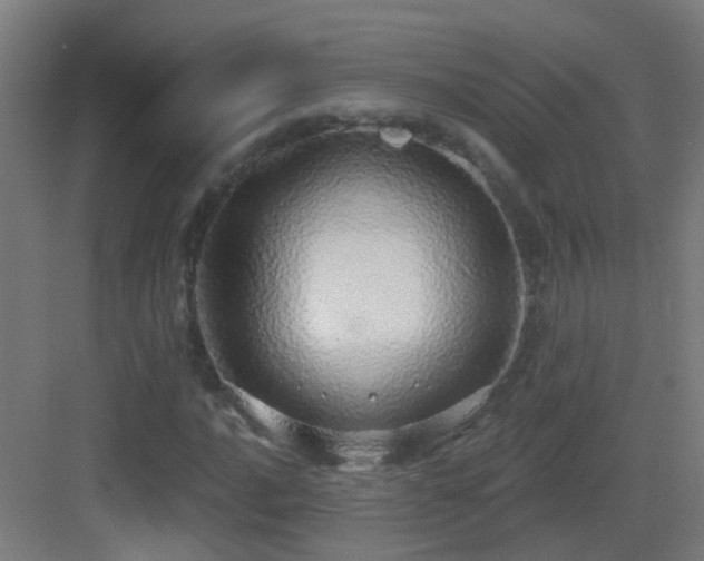 X0000083551016200702091053