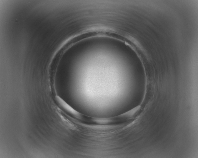 X0000083551022200702091053