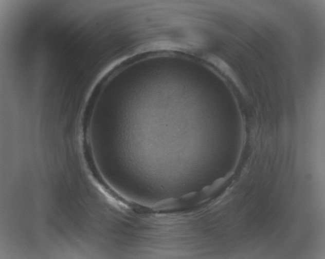 X0000083551024200702091053