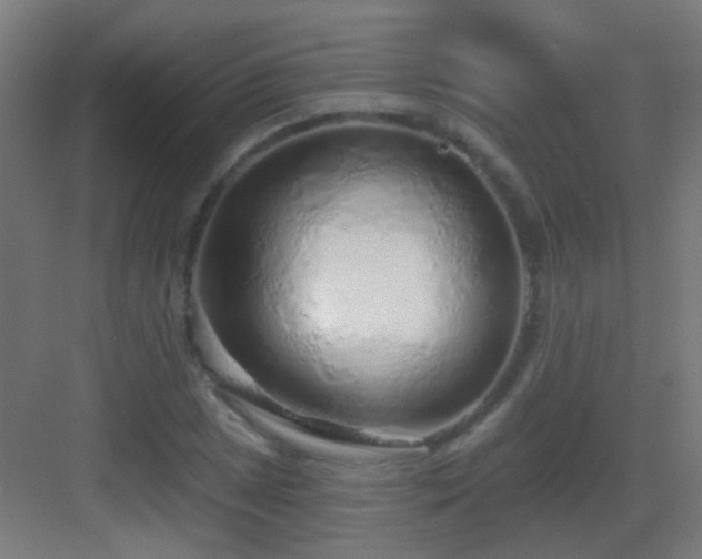 X0000083551025200702091053