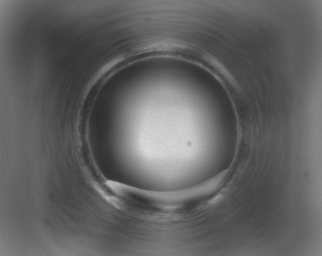 X0000083551026200702091053