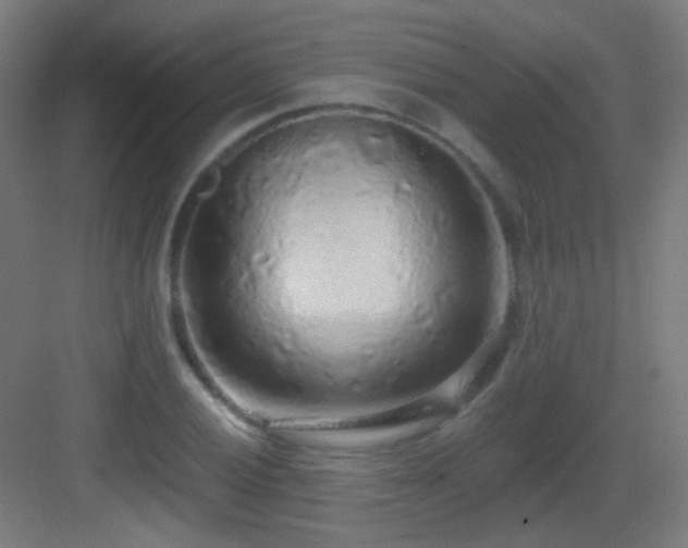 X0000083551028200702091053