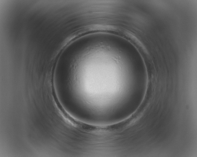 X0000083551033200702091053