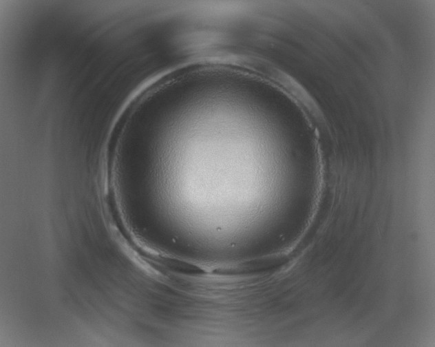 X0000083551036200702091053