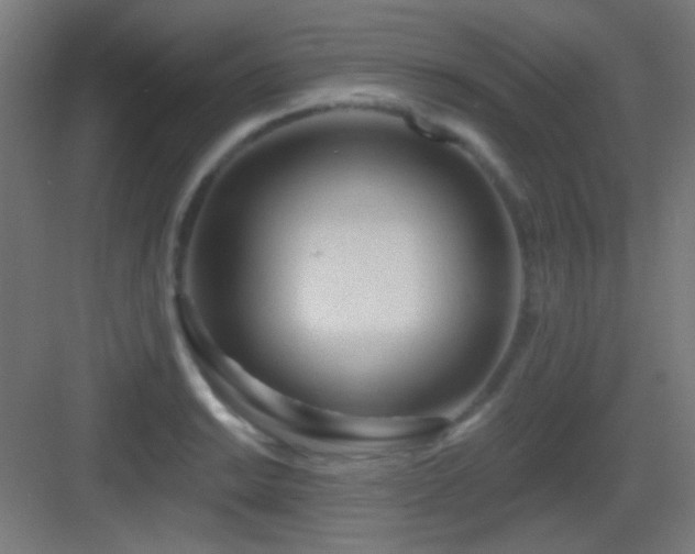 X0000083551038200702091053
