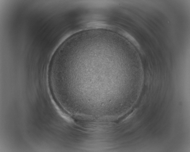 X0000083551039200702091053