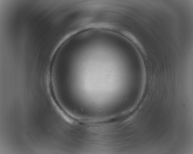 X0000083551040200702091053