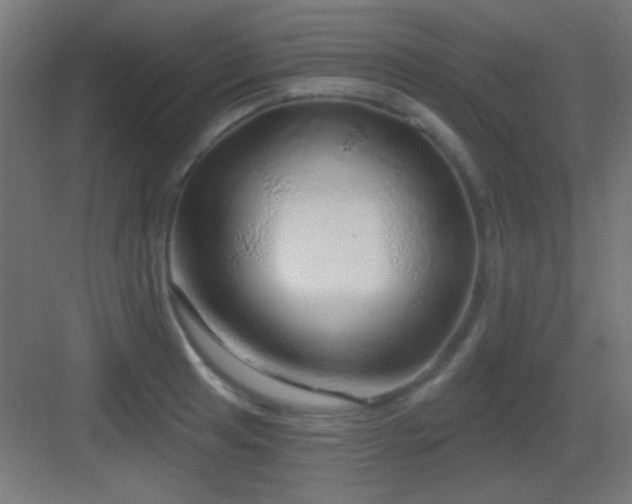 X0000083551041200702091053