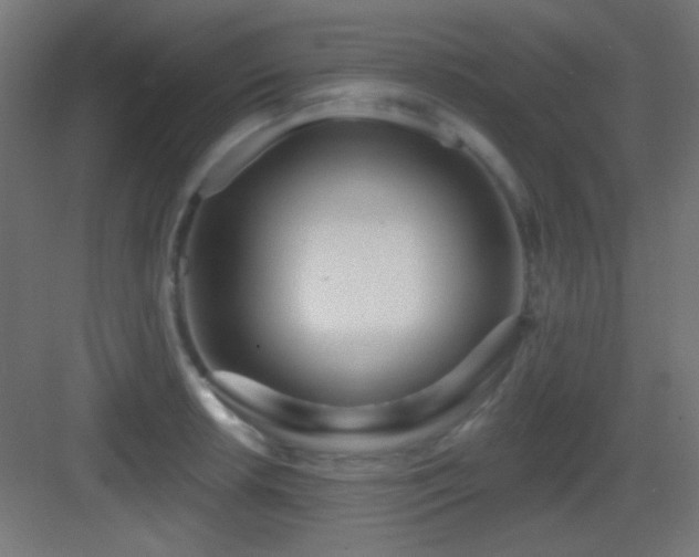 X0000083551042200702091053