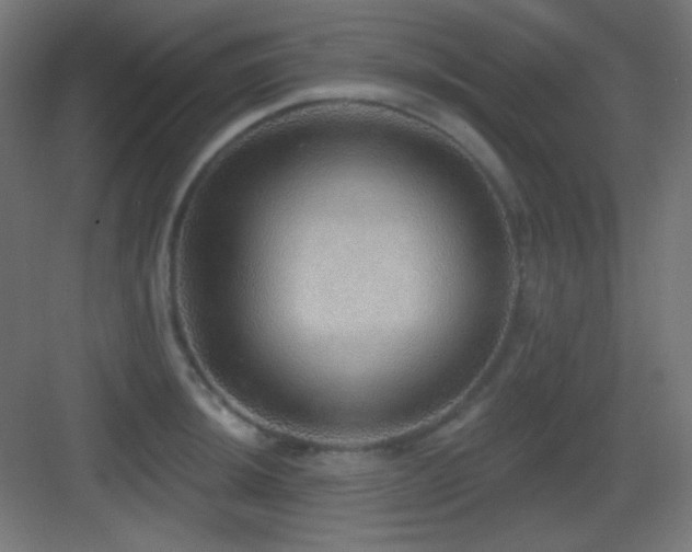 X0000083551044200702091053