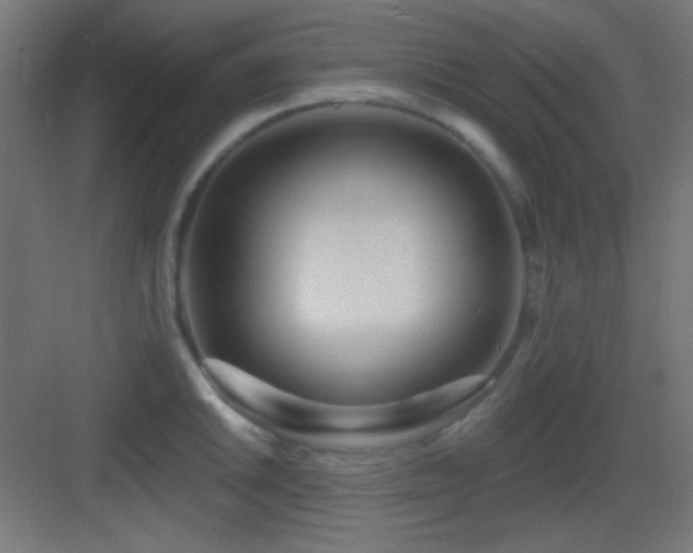 X0000083551046200702091053