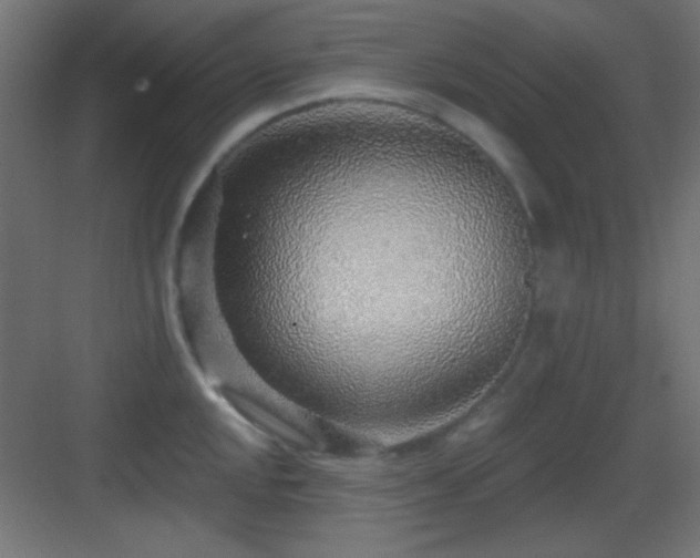 X0000083551048200702091053