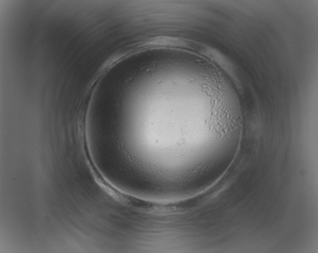 X0000083551049200702091053