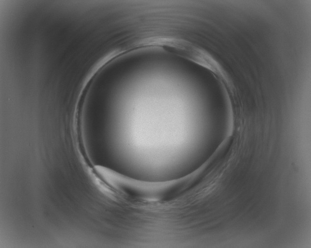 X0000083551050200702091053