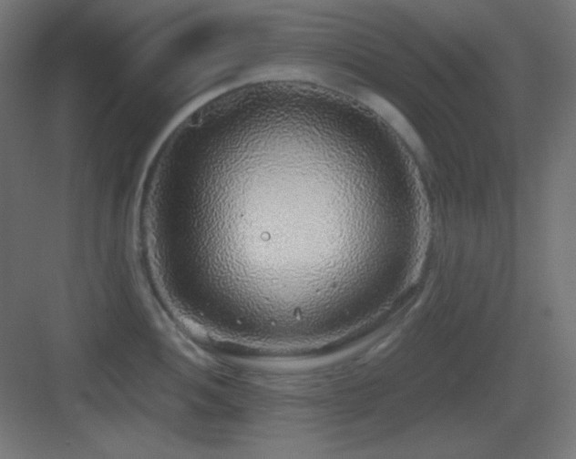 X0000083551052200702091053