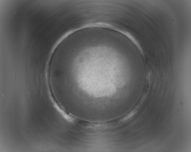 X0000083551054200702091053