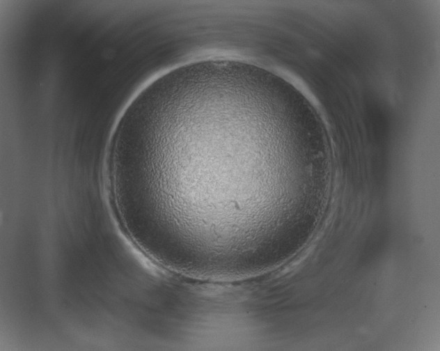X0000083551056200702091053