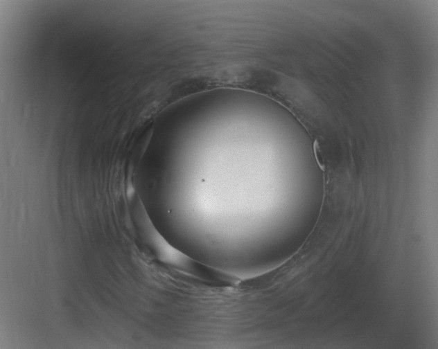 X0000083551058200702091053
