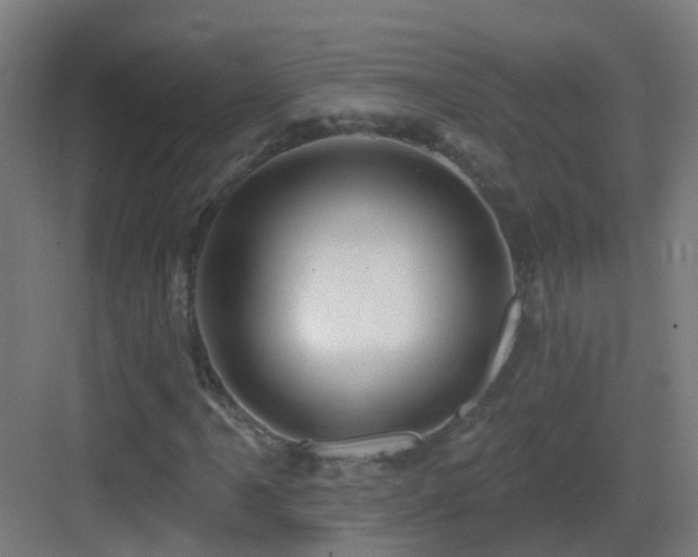 X0000083551061200702091053