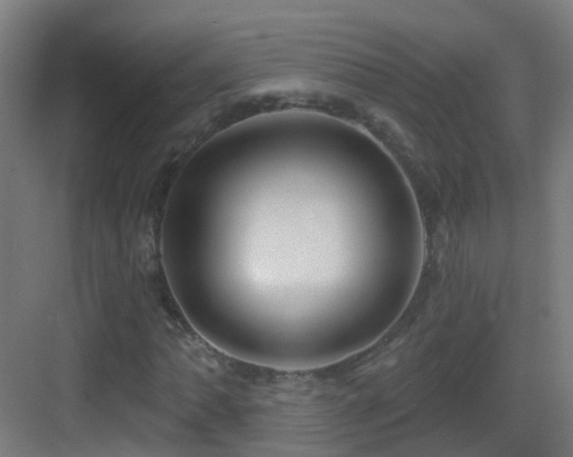 X0000083551062200702091052