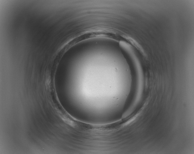 X0000083551065200702091052