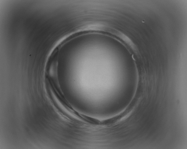 X0000083551077200702091052