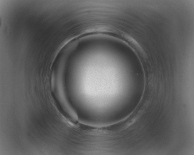 X0000083551081200702091052