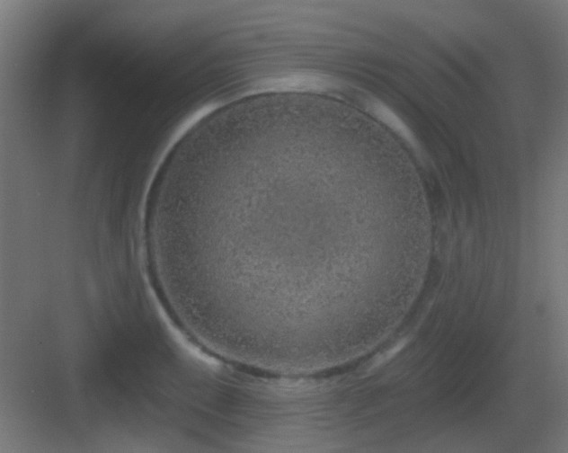 X0000083551087200702091052