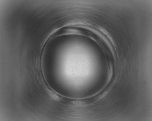 X0000083551089200702091052