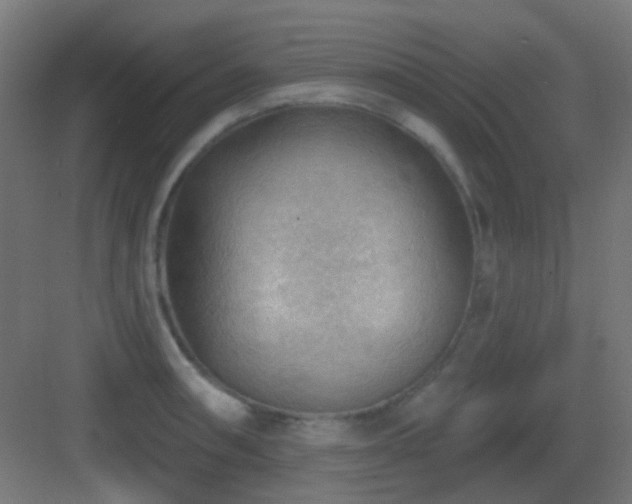 X0000083551090200702091052