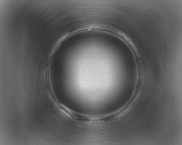 X0000083551097200702091052