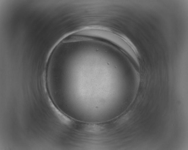 X0000083551100200702091052