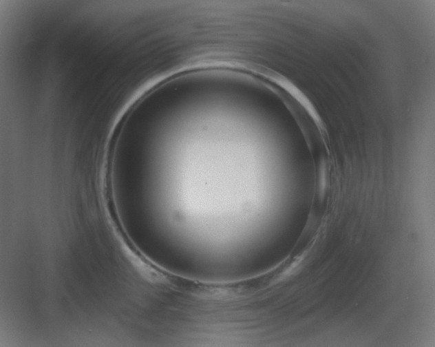 X0000083551101200702091052