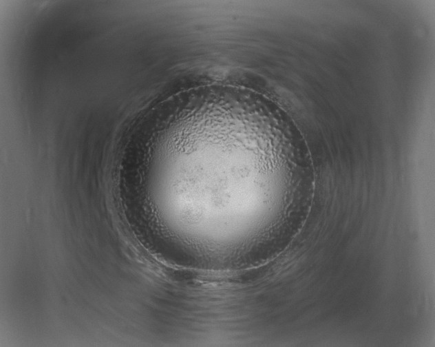 X0000083551105200702091051