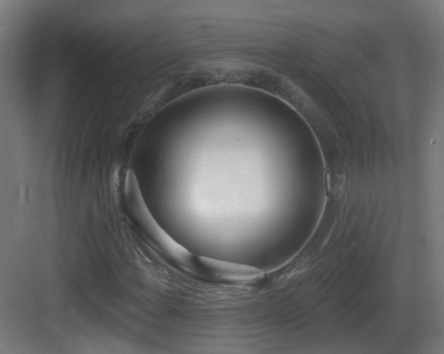 X0000083551108200702091051