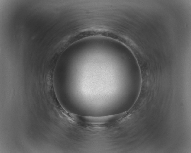 X0000083551110200702091051