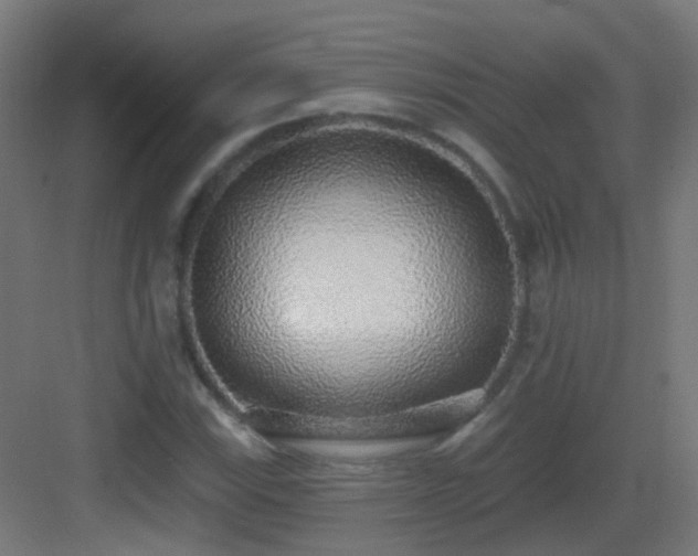 X0000083551115200702091051