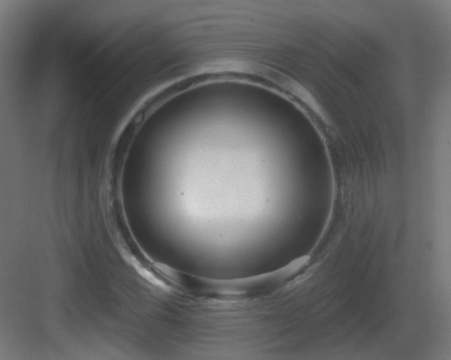 X0000083551116200702091051