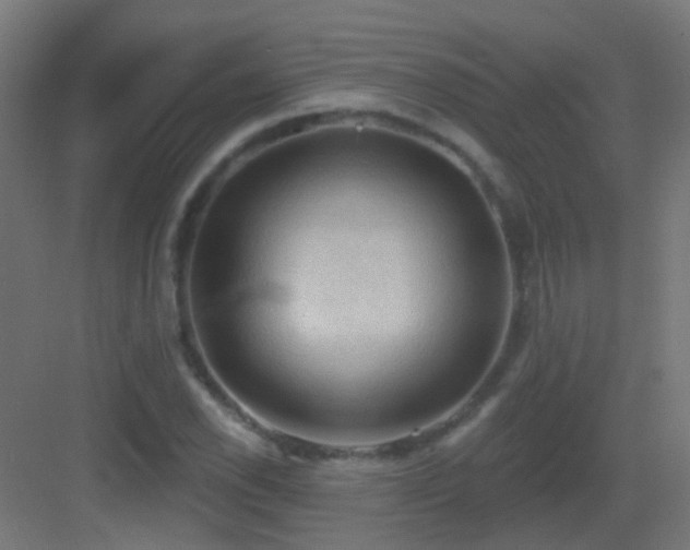 X0000083551118200702091051