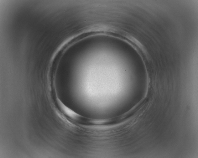 X0000083551120200702091051