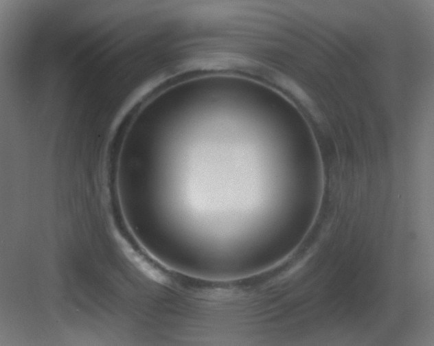 X0000083551122200702091051