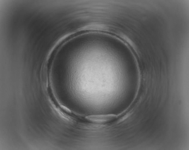 X0000083551123200702091051