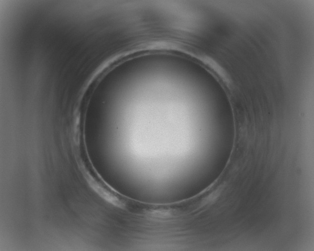 X0000083551126200702091051