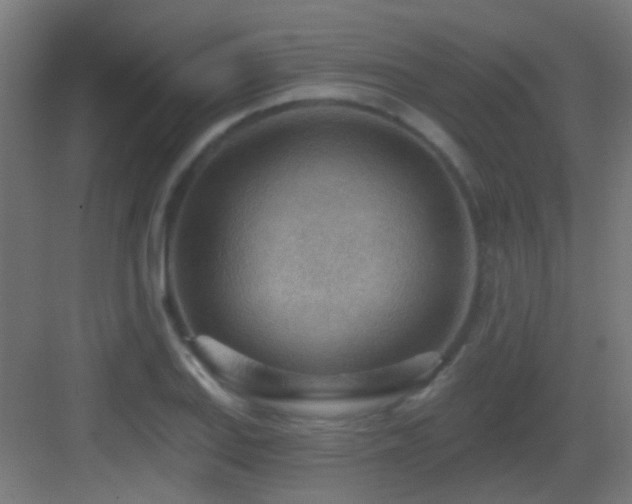 X0000083551127200702091051