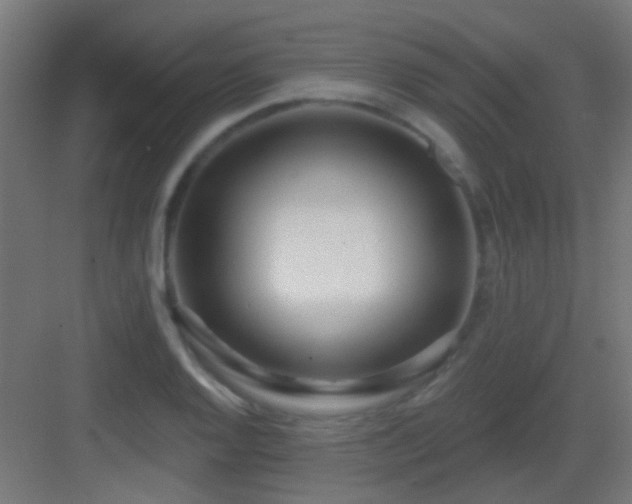 X0000083551128200702091051