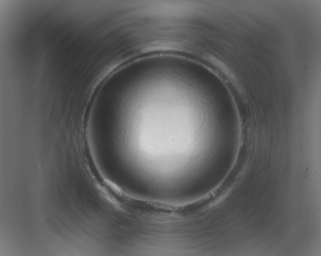 X0000083551129200702091051