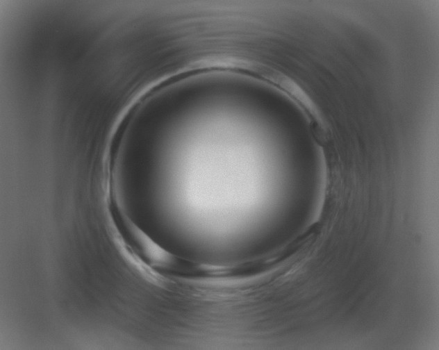 X0000083551132200702091051